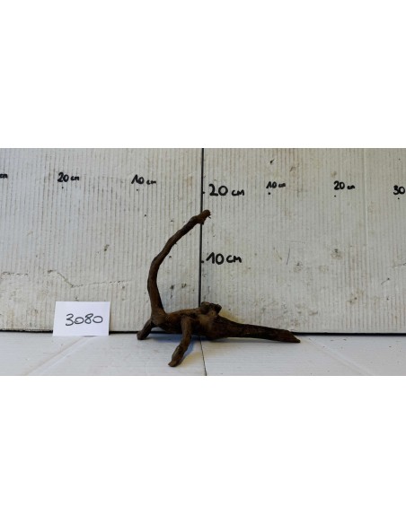 Dark Moor Wood – S 3080 AquaBota - 1