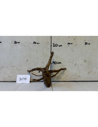 Dark Moor Wood – S 3078 AquaBota - 1