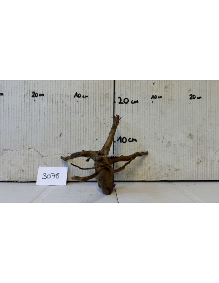 Dark Moor Wood – S 3078 AquaBota - 1