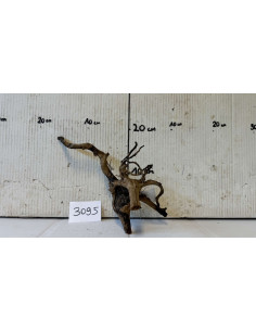 Dark Moor Wood – S 3095 AquaBota - 1