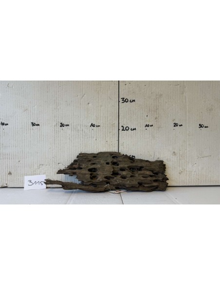 Racin Honey Comb 3115 AquaBota - 1