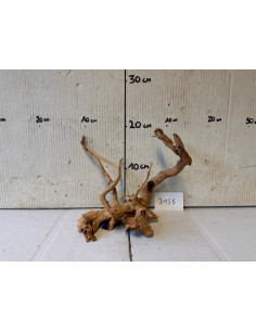 Racin Spiderwood 3155