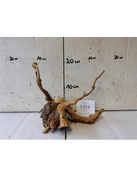 Racin Spiderwood 3158