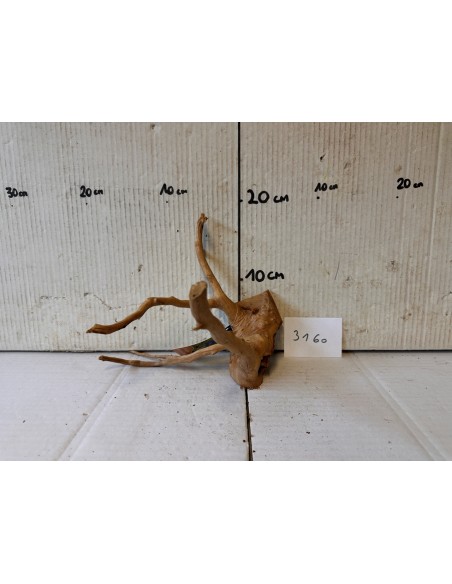 Racin Spiderwood 3160