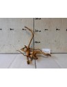 AQUABOTA Racine Spiderwood 3164 - Aquabota.com