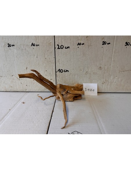 Racin Spiderwood 3171