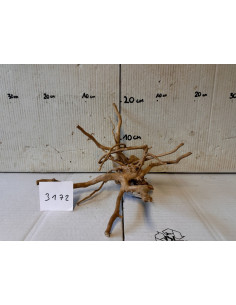 Racin Spiderwood 3172
