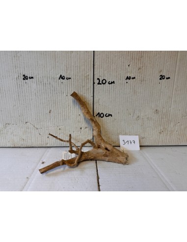 AQUABOTA Racine Spiderwood 3177 - Aquabota.com