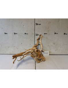 Racin Spiderwood 3203 AquaBota - 1