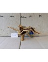 Racin Spiderwood 3206