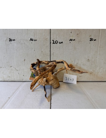 AQUABOTA Racine Spiderwood 3209 - Aquabota.com