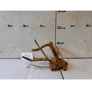 Racin Spiderwood 3232