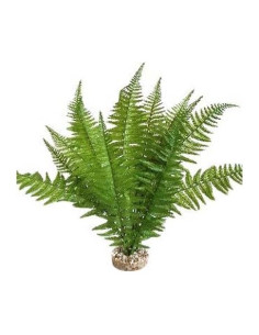 TERRA FOUGERE 46cm SCALARE SCALARE - 1