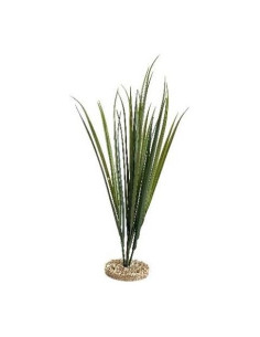 TERRA HERBE 65cm SCALARE SCALARE - 1