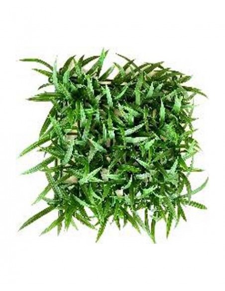 TERRA TAPIS HERBE 32cm SCALARE SCALARE - 1