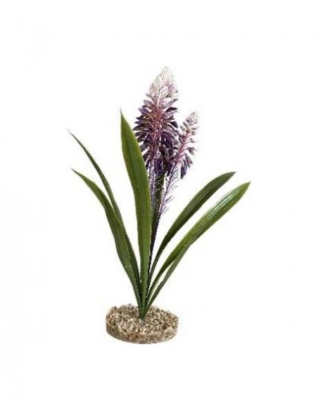 TERRA ALOE FLEUR 45cm SCALARE SCALARE - 1