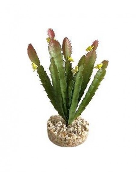 TERRA CACTUS FLEUR 17cm SCALARE SCALARE - 1