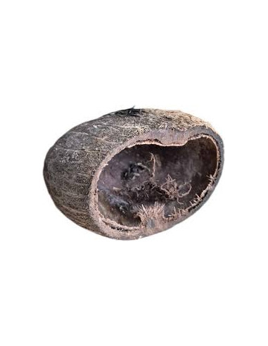 coco pods