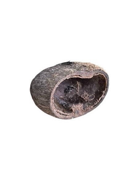 coco pods