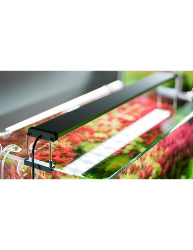 CHIHIROS B Serie 60-80cm 37,1Watts - Aquabota.com