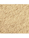 Gecko Cream Abricot 100 ml