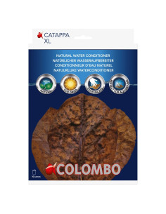 Colombo Catappa 10pcs