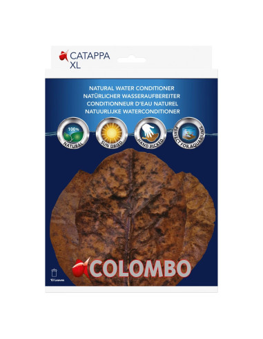 Colombo Catappa 10pcs