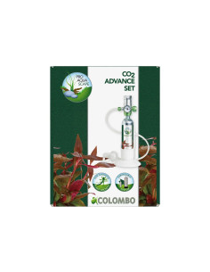 Colombo Co2 Kit Advance 95 Gr