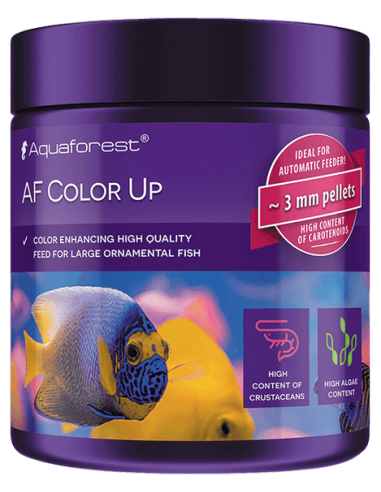 Color UP - 100 g