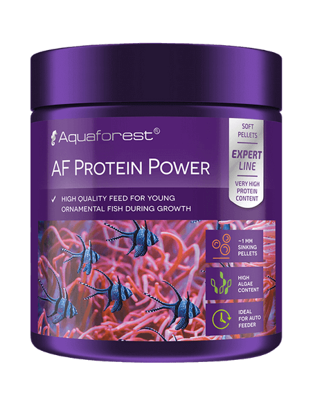 AF Protein Power - 120 g