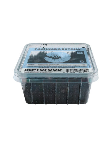 Repto Larves De Dolas (PACHNODA) Box