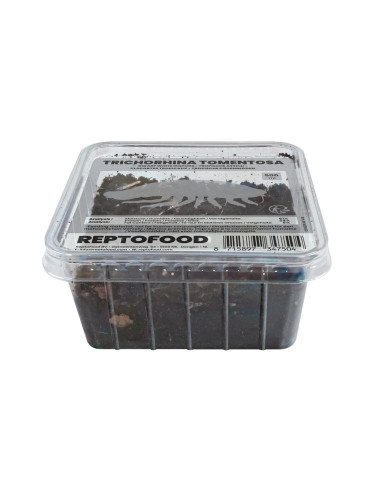 Repto Cloportes Tropicaux Box