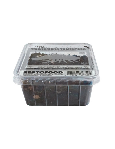 Repto Cloportes Tropicaux Box