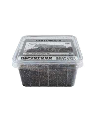 Repto Collemboles Box