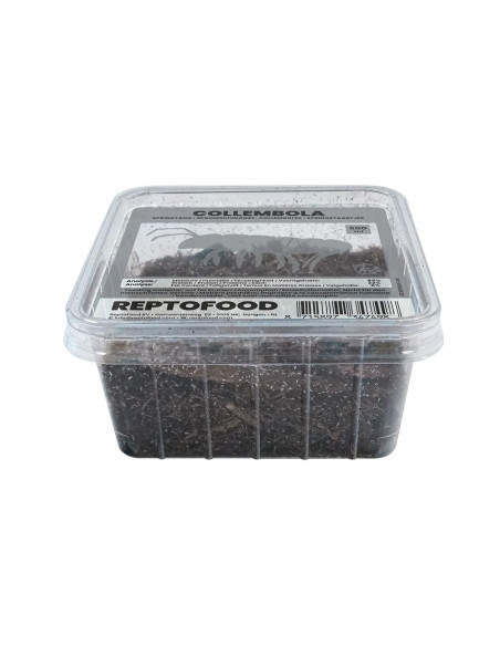 Repto Collemboles Box
