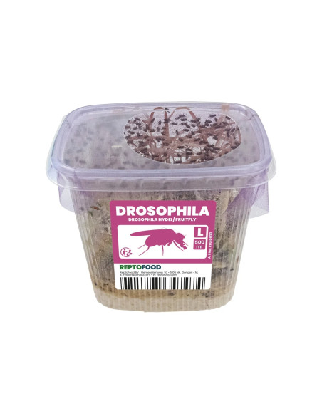 Repto Drosophiles Hydei L
