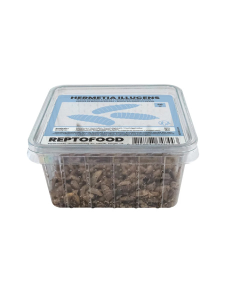 Repto Larves De Mouche Soldat Box 50g