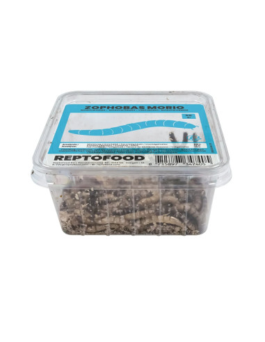 Repto Vers Morio Box 50g