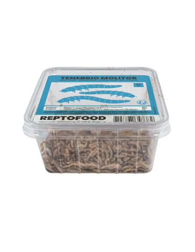 Vers De Farine 1kg