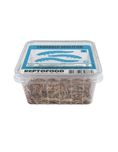 Vers De Farine 1kg