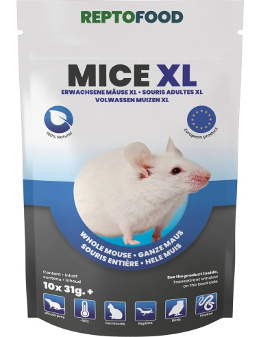Repto Souris Adultes Xl 31-40 10pcs