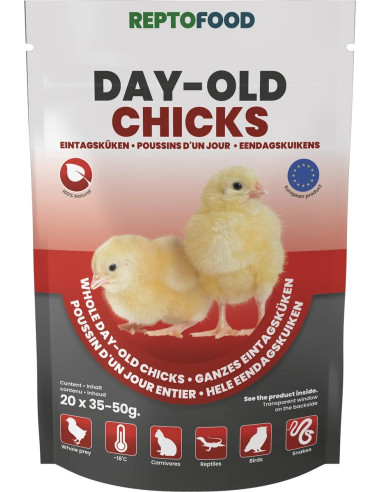 Repto Poussins D'un Jour 1kg