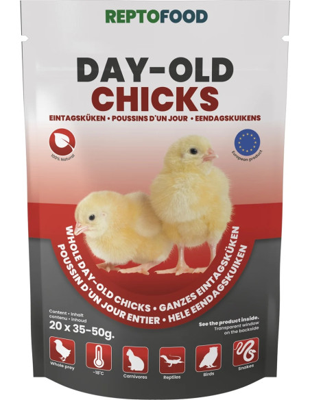 Repto Poussins D'un Jour 1kg