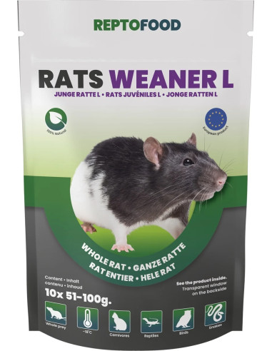 Repto Rats Juvéniles L 51-100g 10pcs