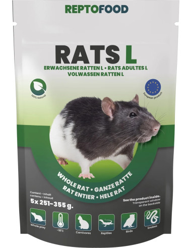 Repto Rats Adultes L 251-355g 5pcs