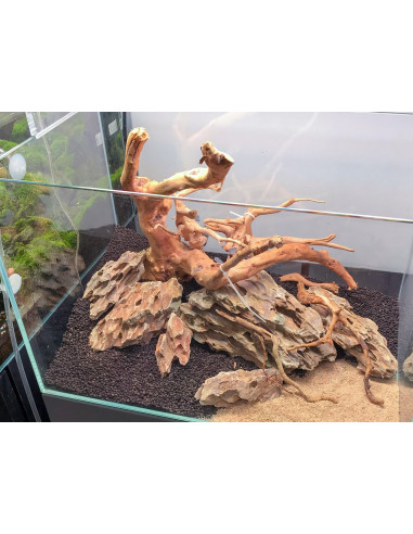 Lot Tropica Layout 115 (35L)