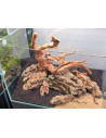 Lot Tropica Layout 115 (35L)