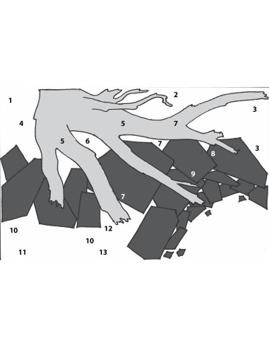 Lot Tropica Layout 115 (35L)