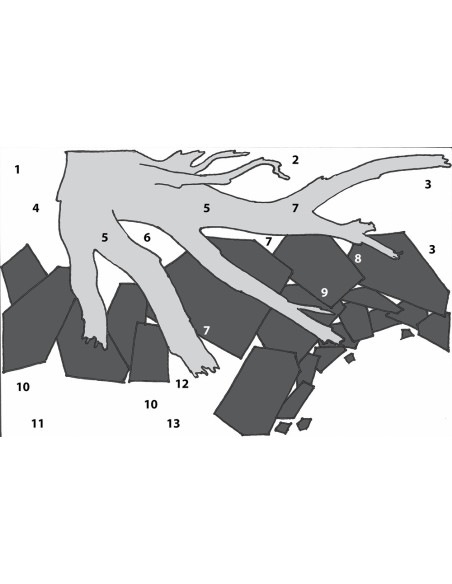 Lot Tropica Layout 115 (35L)