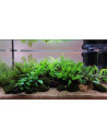 Lot Tropica Layout 111